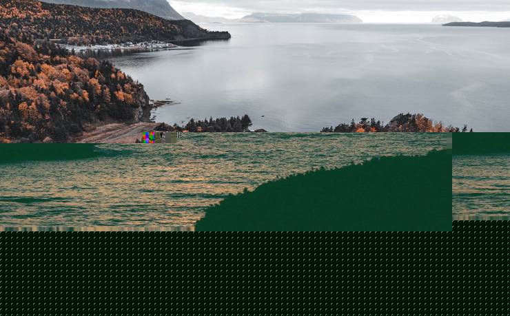 廢舊金屬回收設備的現狀與趨勢及發展趨勢下的設備種類探討